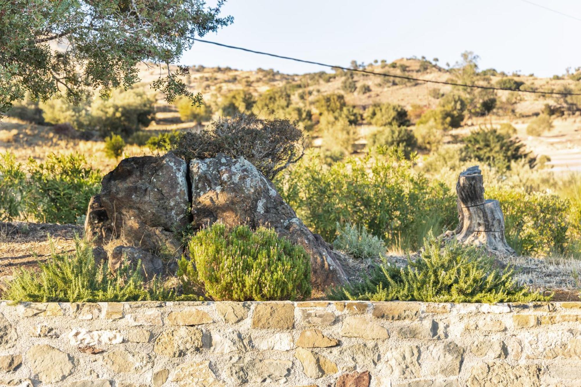 Evgoro Luxury Suites Agia Galini Eksteriør billede